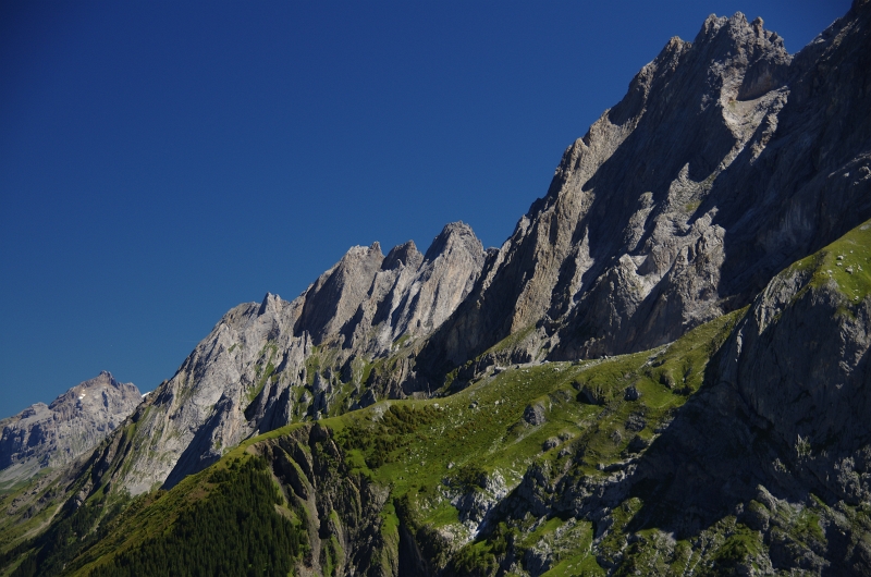 24h Hike Mammut_Ochsner 'Grosse Scheidegg _ Schwarzhorn 2927m' 18_08_2012 (23).JPG